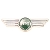 Classic Austin Mini Late Mini Winged Badge With Green Logo